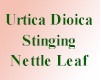 Urtica Dioica (Stinging Nettle Leaf) (60 Veggie Caps)